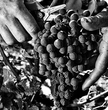 CHÂTEAU CHANTEMERLE