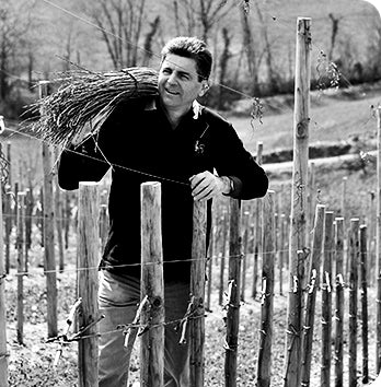 DOMAINE CAUHAPÉ