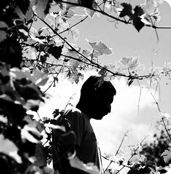 DOMAINE GARON