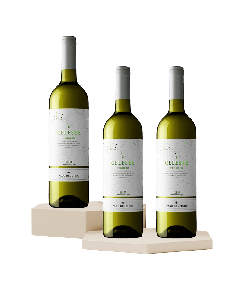 Familia Torres 'Pago del Cielo' Celeste Verdejo - Pack of 3