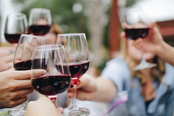 What is Red Wine? An Introductory Guide