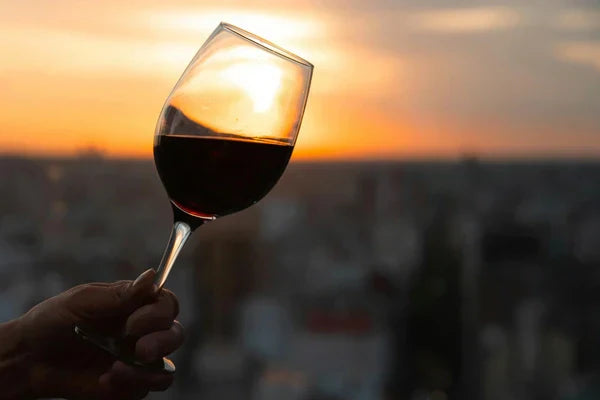 Top 5 Best Red Wine (2025) – Expert Review & Buying Guide
