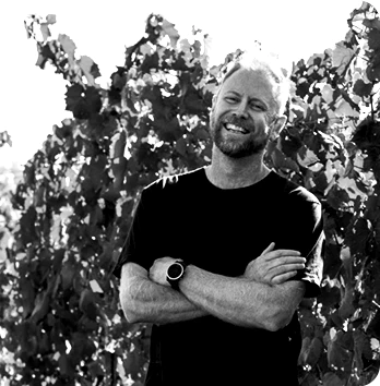 MMAD VINEYARD