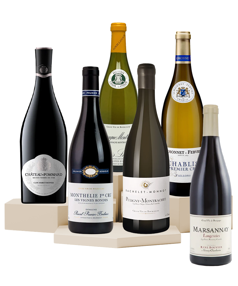 Fine Burgundy Wines Value Pack