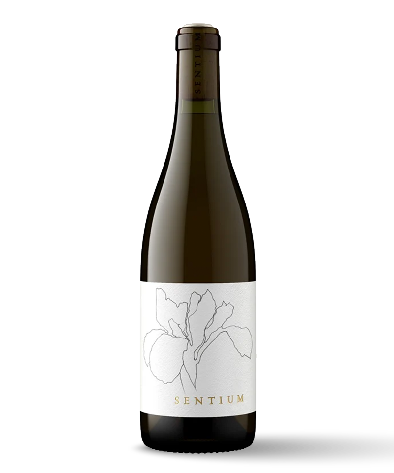 Continuum Estate Sentium White 2023