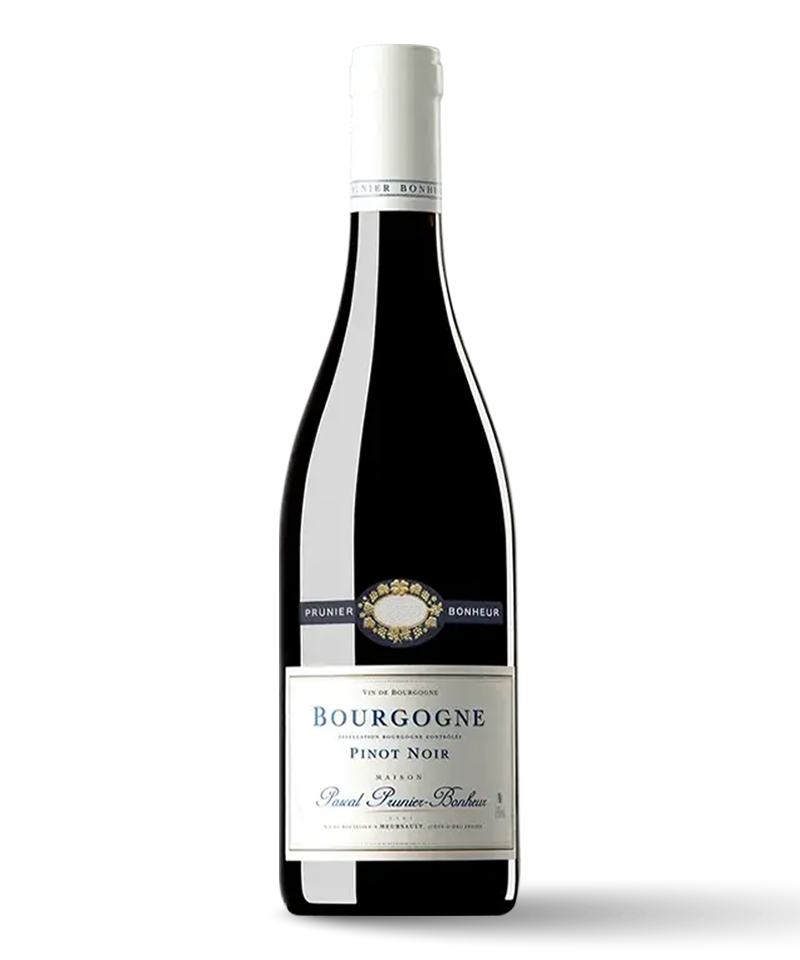 Domaine Pascal Prunier-Bonheur Bourgogne Cote-D'or Rouge 2022