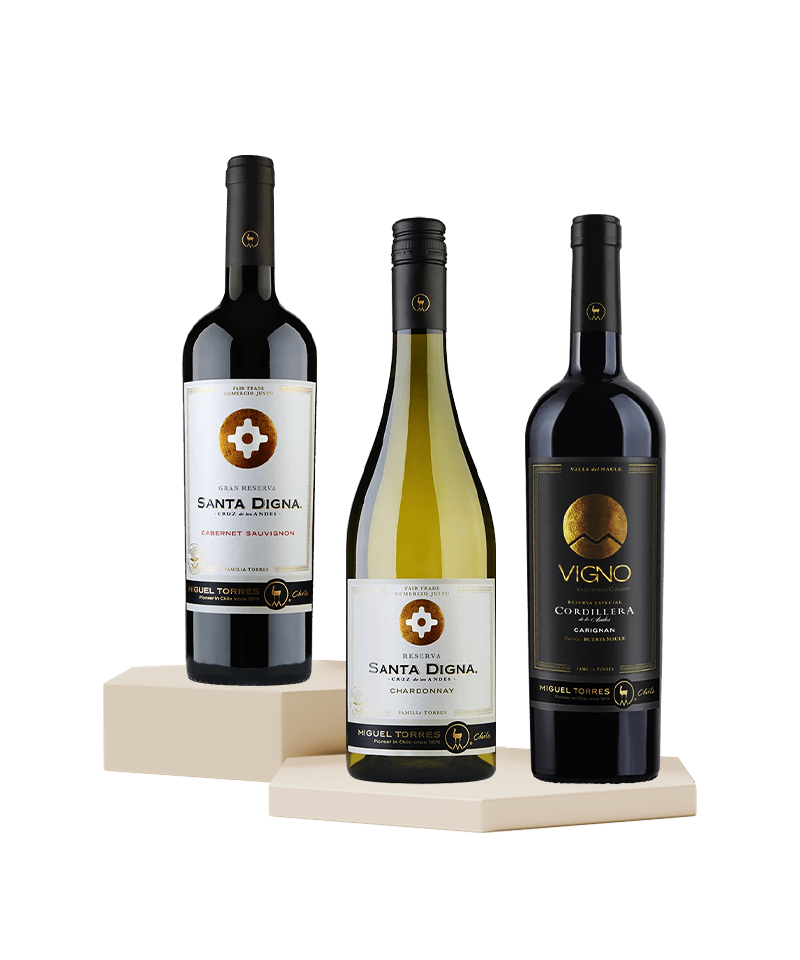 Miguel Torres Wines - Pack of 3